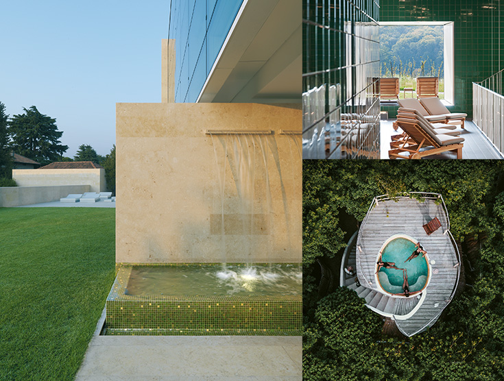 Wellness Wonders